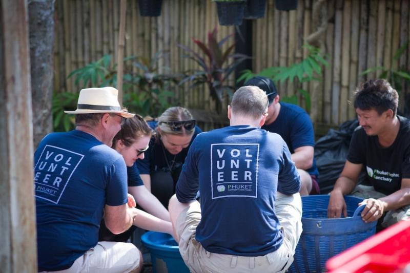 one-day-volunteer-program-at-elephant-sanctuary-s-2