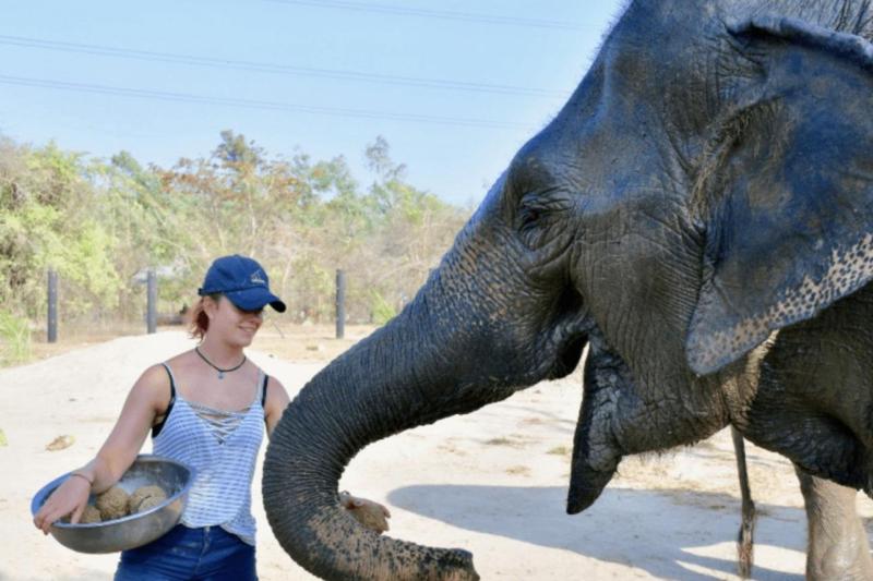one-day-volunteer-program-at-elephant-sanctuary-s-3