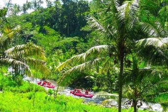Full Day Telaga Waja White Water Rafting