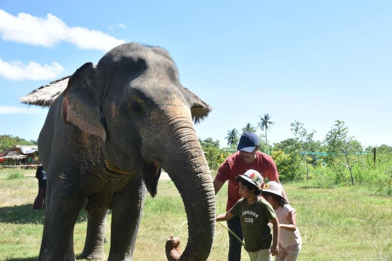 morning-visit-pattaya-elephant-sanctuary-3