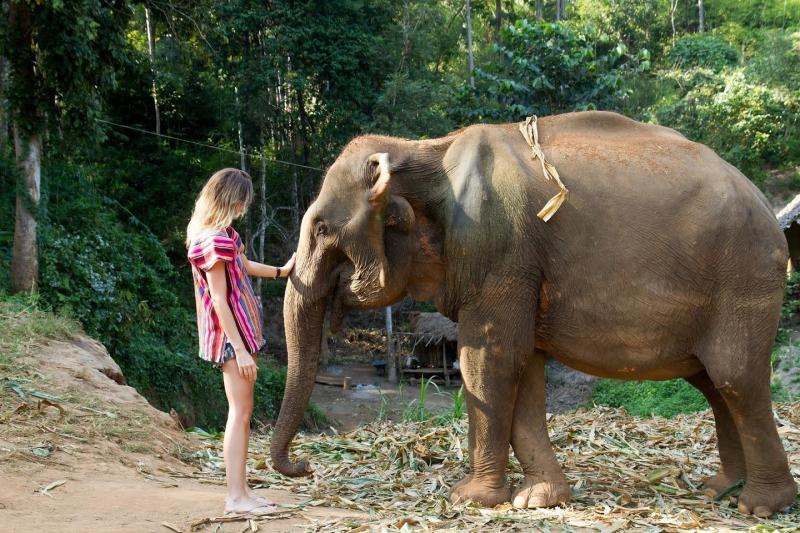 afternoon-visit-pattaya-elephant-sanctuary-1