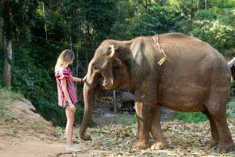 Afternoon Visit Pattaya Elephant Sanctuary