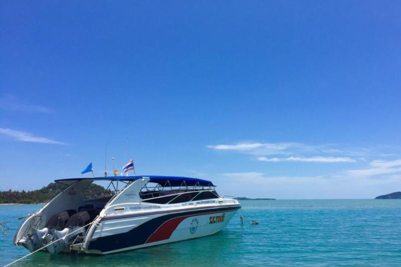 samui-pig-island-little-bahamas-2