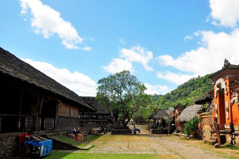 full-day-taman-ujung-and-tirta-gangga-floating-pal-3