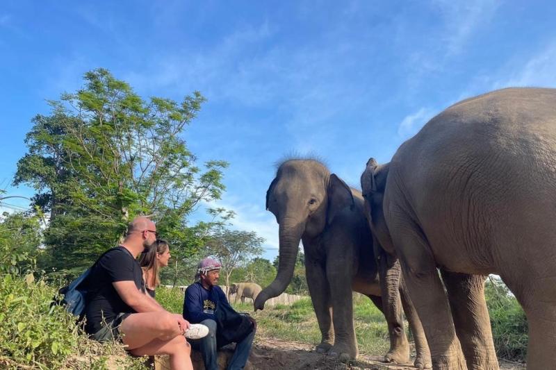 samui-elephant-kingdom-experience-2