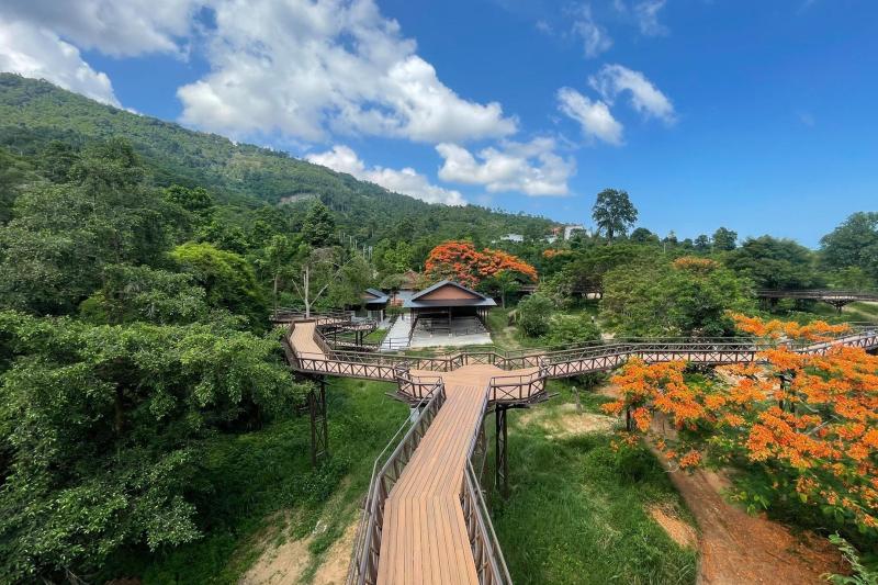 samui-elephant-kingdom-experience-4