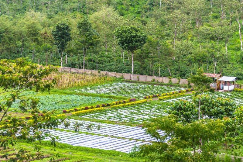 ubud-tanah-lot-sunset-3