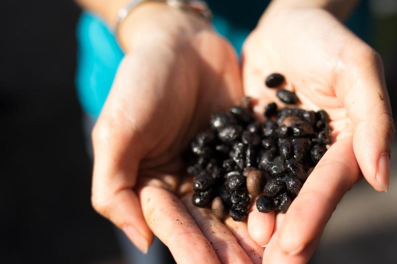 singapore-kopi-lot-coffee-experience-1