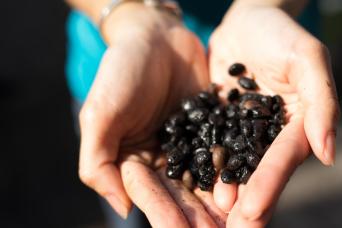 Singapore Kopi & Lot Coffee Experience