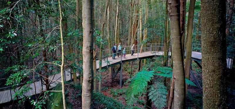 blue-mountains-all-inclusive-small-group-day-tour-2