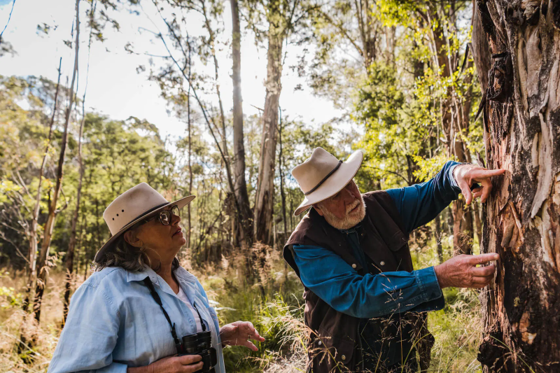 kangaroos-koalas-and-wildlife-afternoon-tour-2