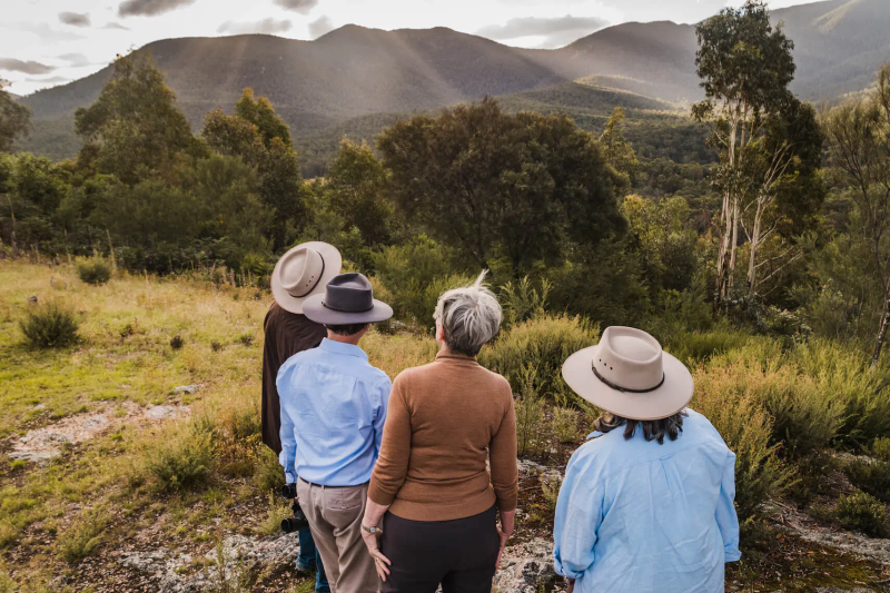 kangaroos-koalas-and-wildlife-afternoon-tour-9