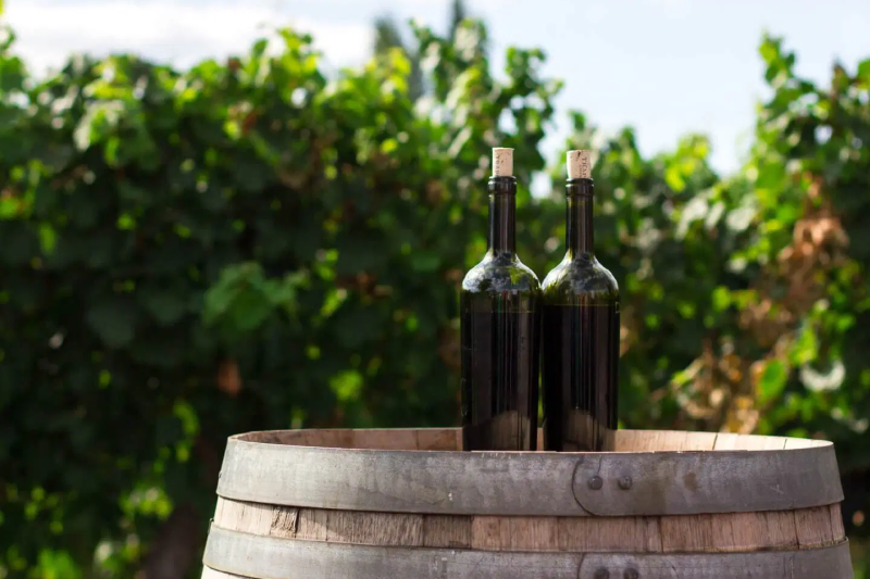 canberra-wine-tour-1