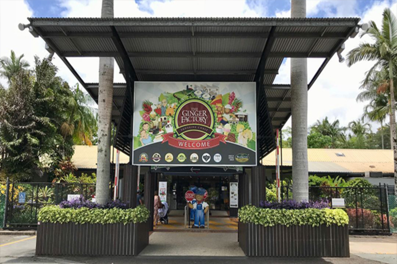 private-ginger-factory-montville-rainforest-5