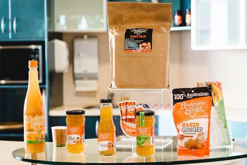 private-ginger-factory-montville-rainforest-6