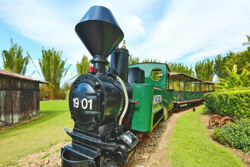 private-ginger-factory-montville-rainforest-8