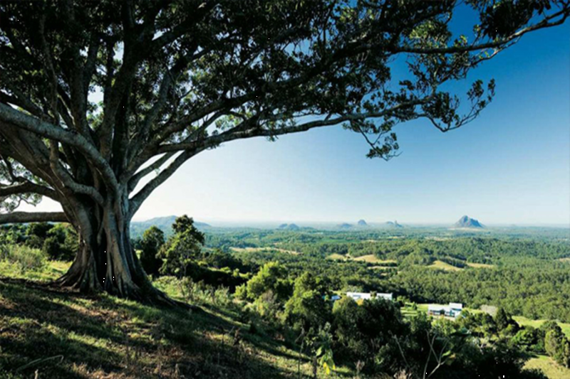 private-ginger-factory-montville-rainforest-9