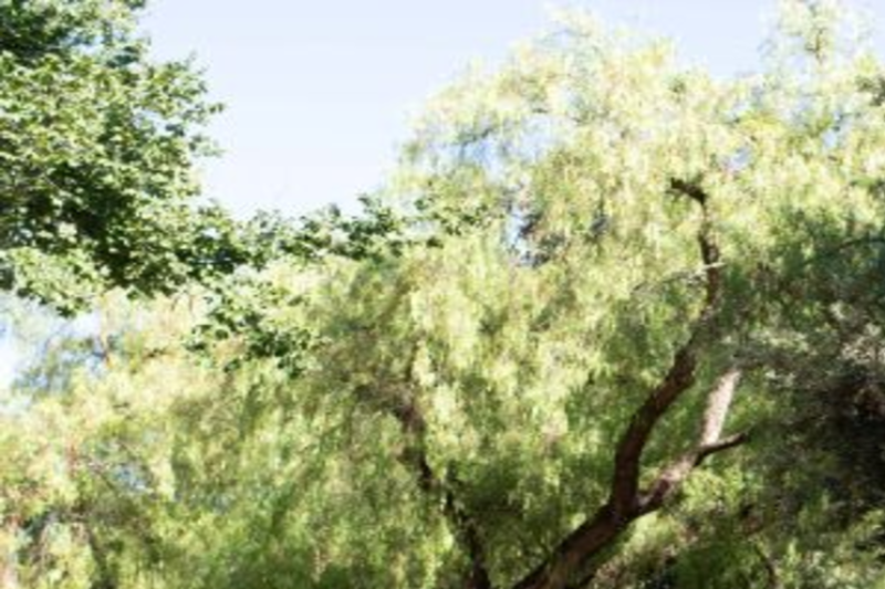 private-adelaide-walking-tour-set-route-english-3