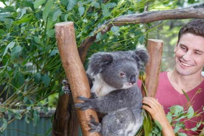 sydneys-blue-mountain-tour-aussie-wildlife-park-4