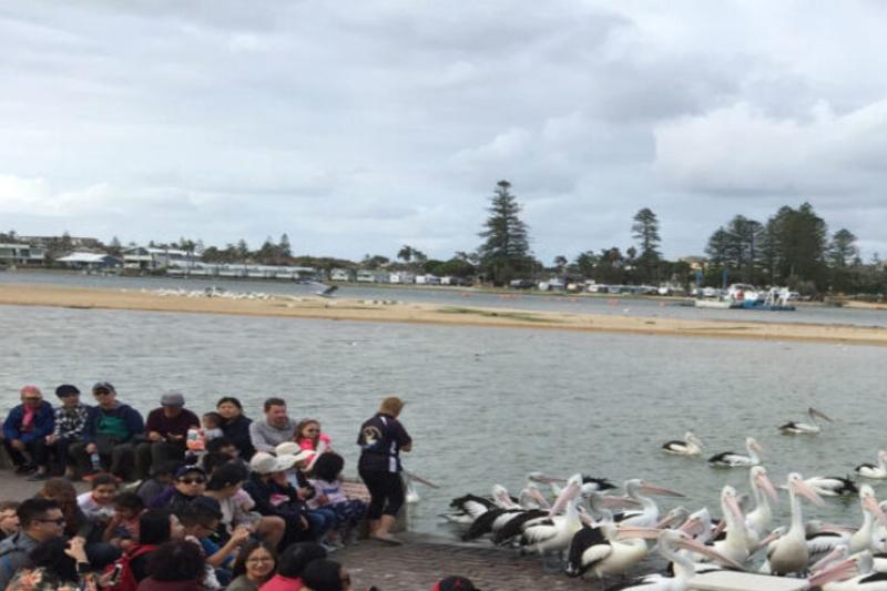 sydneys-central-coast-tour-aussie-reptile-park-o-2