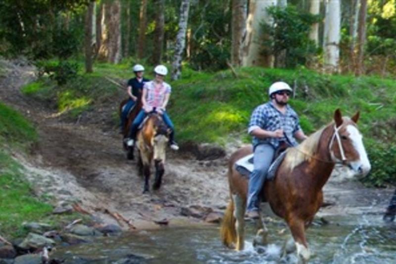 sydneys-central-coast-tour-aussie-reptile-park-o-5