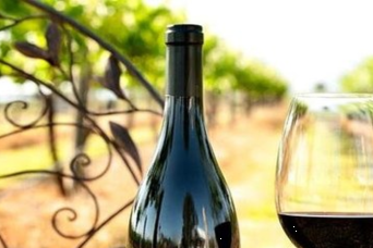 Sydney’s Hunter Valley Wine Tasting Tour