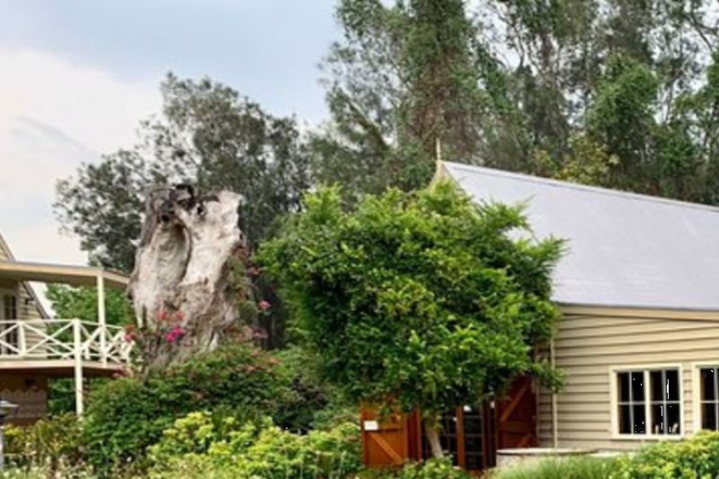 sydneys-hunter-valley-wine-tasting-tour-4