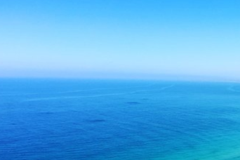 Sydney’s Port Stephens Tour, Dolphin Watching Opti