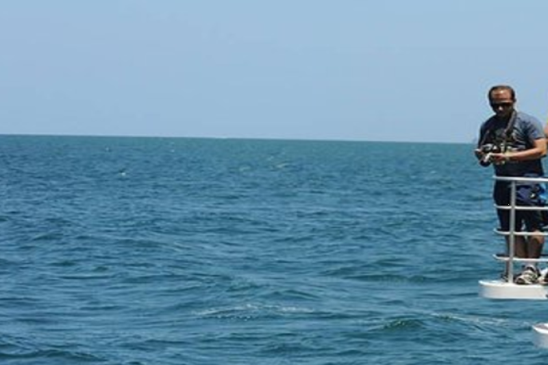 sydneys-port-stephens-tour-dolphin-watching-opti-3