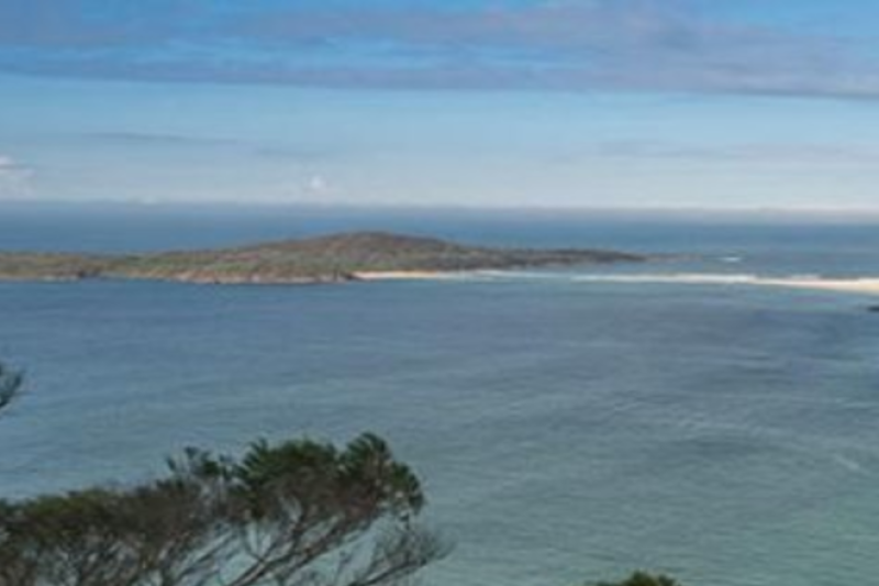 sydneys-port-stephens-tour-dolphin-watching-opti-4