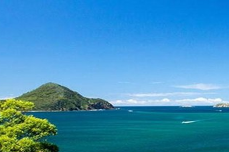 sydneys-port-stephens-tour-dolphin-watching-opti-5