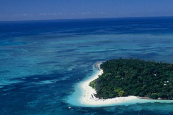 Green Island Discovery with Great Adventures