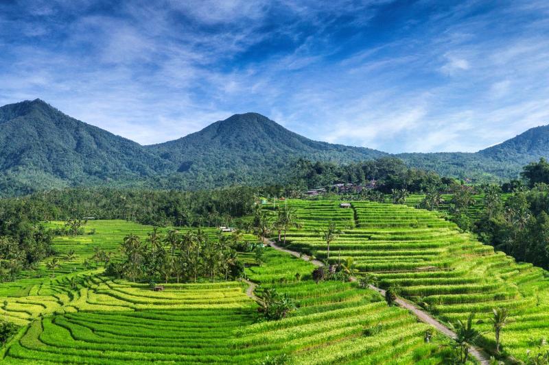 hidden-ubud-by-mountain-bike-4