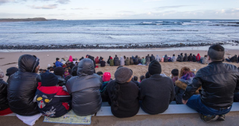 Small Group Bus Tour Phillip Island Wildlife and B