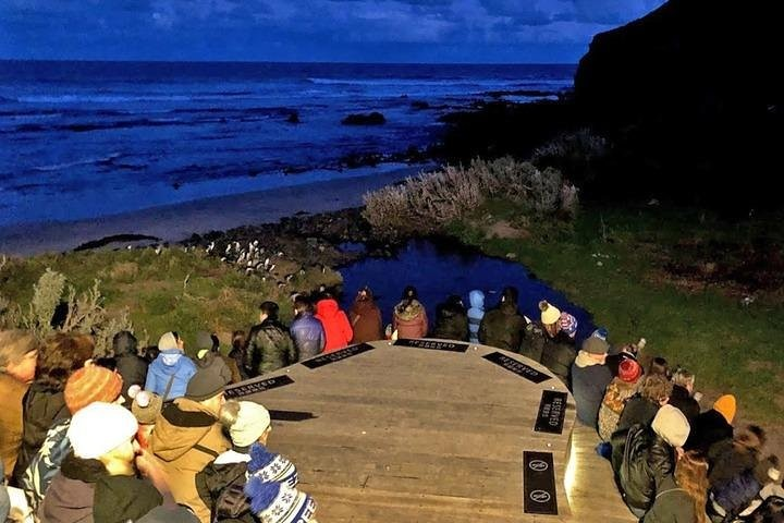 small-group-bus-tour-phillip-island-wildlife-and-b-2