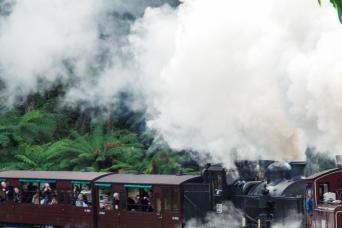 Puffing Billy, Healesville Sanctuary, Chocolaterie