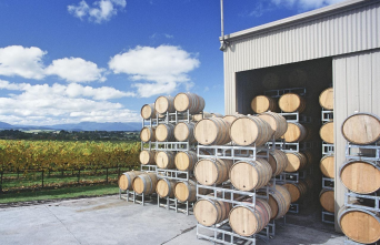 Yarra Valley And Dandenong Ranges Scenic Tour