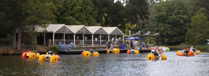 yarra-valley-and-dandenong-ranges-scenic-tour-7