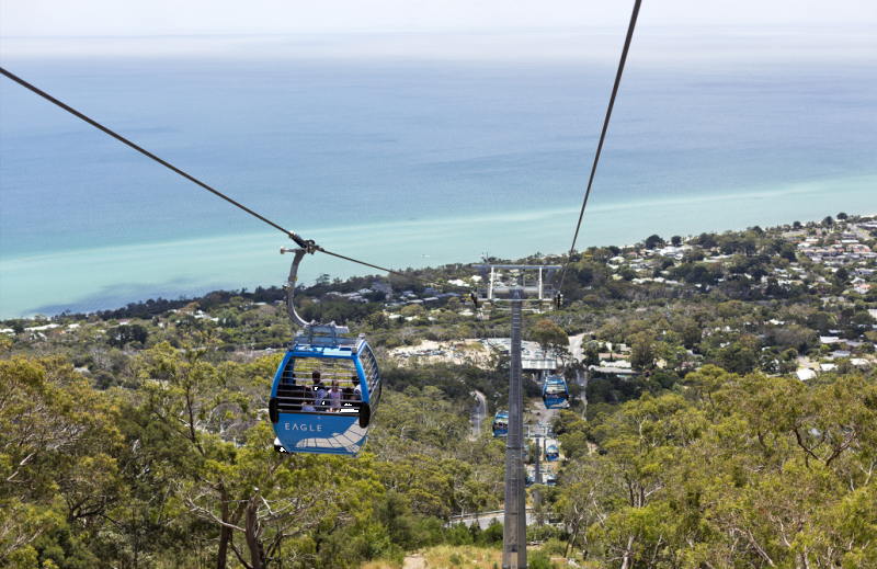 mornington-peninsula-scenic-tour-2