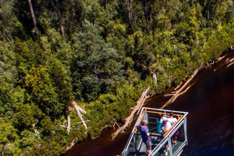tahune-airwalk-hastings-caves-1