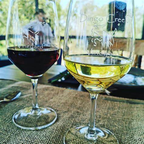 tasty-sunshine-coast-2