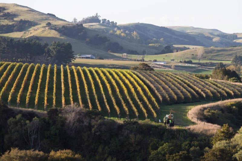 martinborough-winery-tour-small-group-tour-1