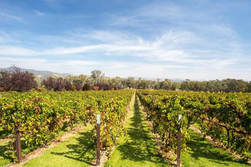 martinborough-winery-tour-private-tour-max-11-p-1