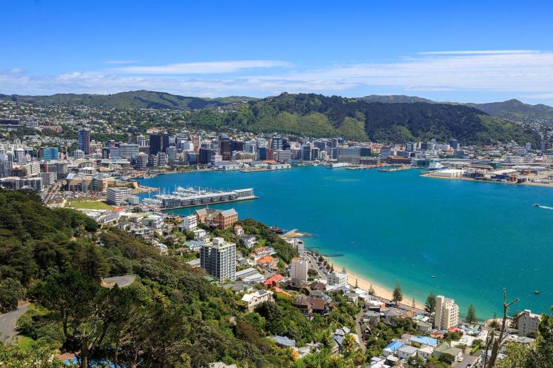 from-cave-to-coast-wellington-highlights-tour-sma-1