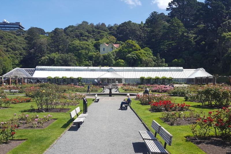 Wellington Highlights Small Group Day Tour from Cave to Coast: Mt Victoria, Wahine Memorial Park and Brooklyn Wind Turbine丨Lunch Included