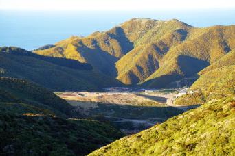 From Cave to Coast Wellington Highlights (Private)