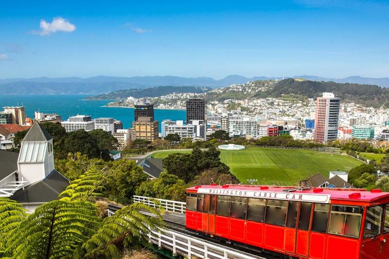 from-cave-to-coast-wellington-highlights-private-2