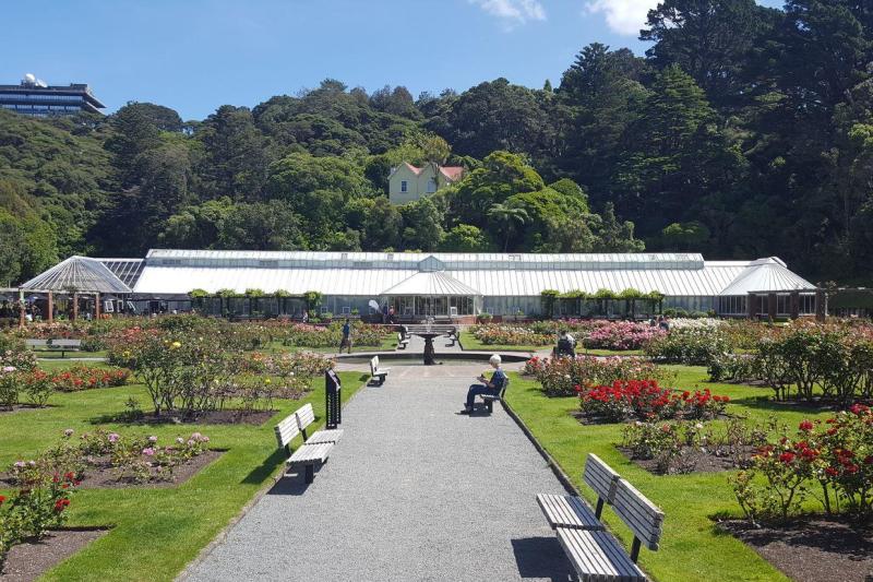 from-cave-to-coast-wellington-highlights-private-3