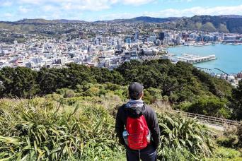 Half Day Tour of Wellington