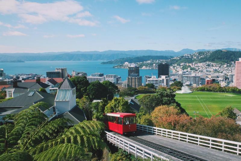 full-day-tour-of-wellington-1